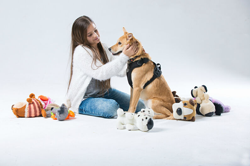 Пет-терапия