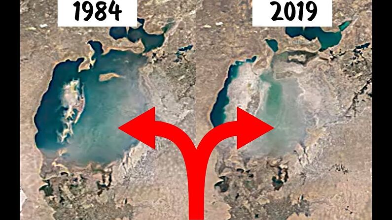 Исчезающее море