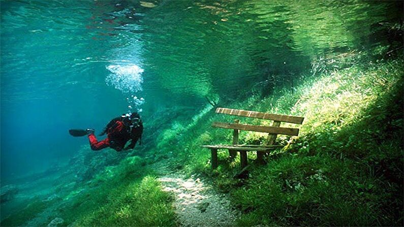 Парк под водой