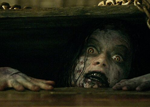 Самые страшные фильмы ужасов 2013-2014 - ТОП5