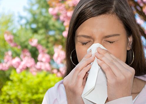 Про аллергии 