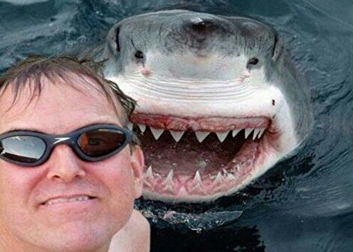 Самые смешные и нелепые селфи