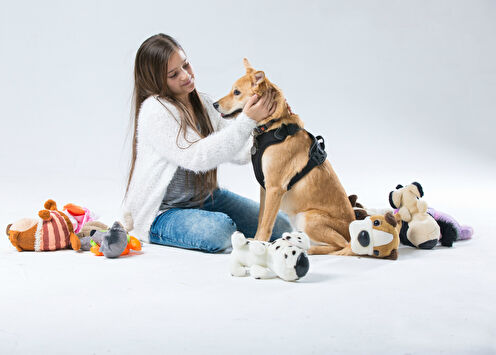 Пет-терапия